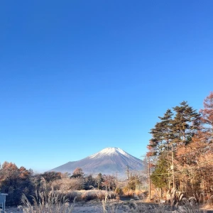 朝活☀️の写真1枚目
