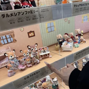 こんばんは！の写真1枚目