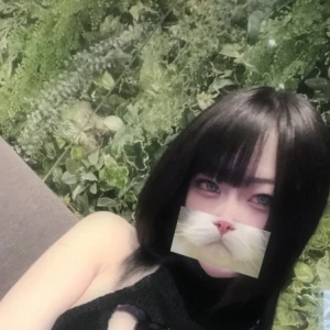 4/8-2の写真1枚目
