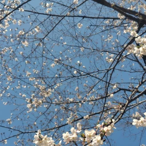 こんばんは☂️㌨です🌧の写真1枚目