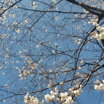 こんばんは☂️㌨です🌧