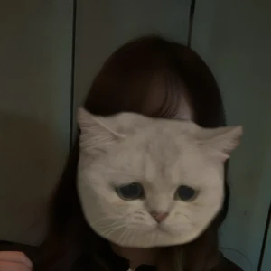 こんばんは- ̗̀☾⋆  ̖́-の写真1枚目