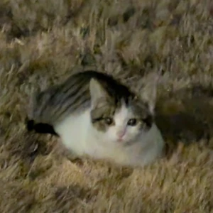 ゆーきなでございます！出勤してます💡の写真1枚目