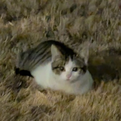 ゆーきなでございます！出勤してます💡