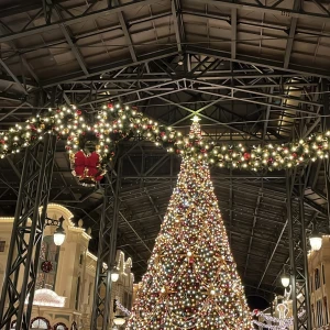 22時から♥️クリスマスイベすたーと♥️の写真1枚目