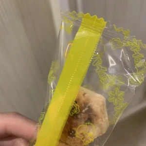 4/15の写真1枚目