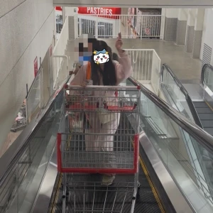 ななしゃん本日西船に旅立ってますの写真1枚目