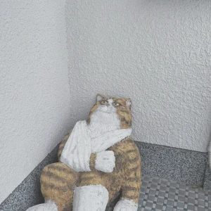 いましたの写真1枚目