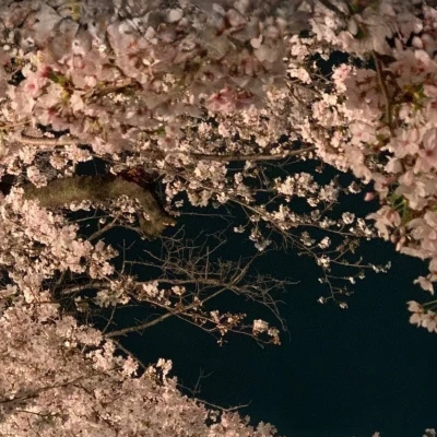 しゅっきーーーん！