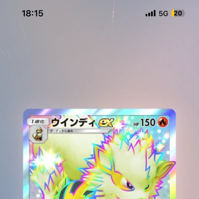 17日もかです