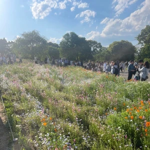 天国かな🌷💐の写真3枚目