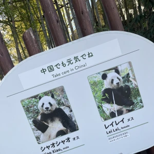 火曜日！の写真1枚目