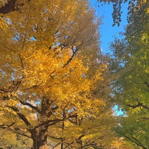 出勤しました！の写真1枚目