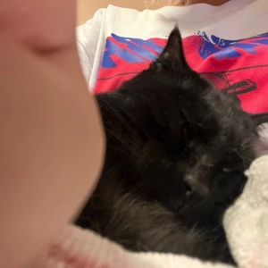 🐱ྀི7.21🐱ྀིの写真1枚目