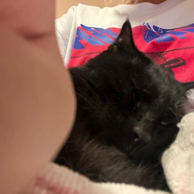 🐱ྀི7.21🐱ྀི