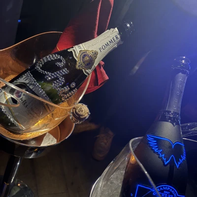 ましろ出勤＋Blog🦖🐾