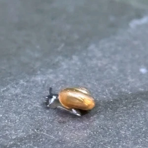 こんばんは❗️みかです☀️の写真1枚目