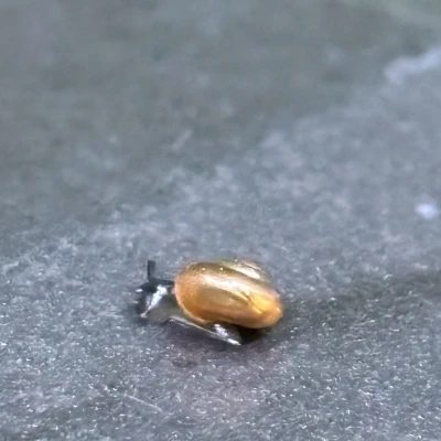 こんばんは❗️みかです☀️