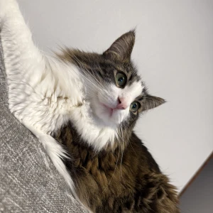 もえです🐰の写真1枚目