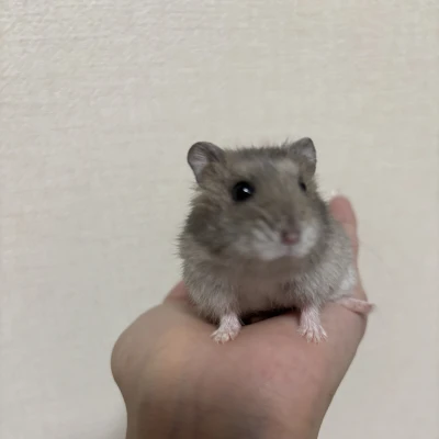 今日はアラームかけるの忘れて起きたら13時だったよ〜'.-~-)::