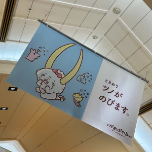 9月おわり！の写真1枚目