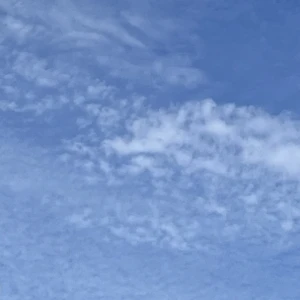 9/23(火) 22時からいます🥬の写真1枚目