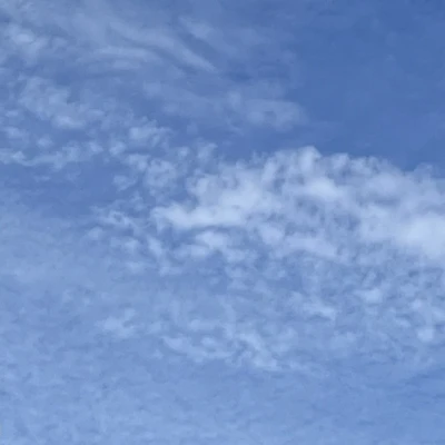 9/23(火) 22時からいます🥬