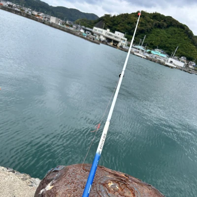 おはようございます。ゆまです🧸🥀