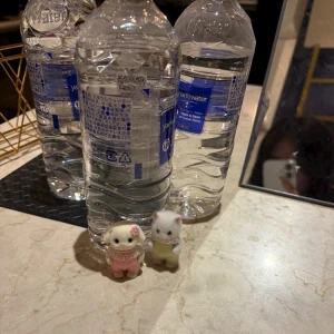 3月27日 20:00～の写真1枚目