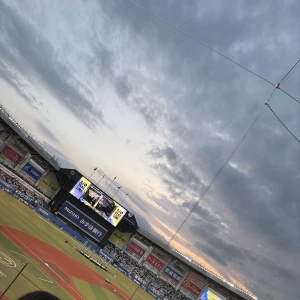 2026.3.28の写真1枚目