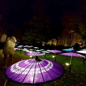 💜💜の写真1枚目