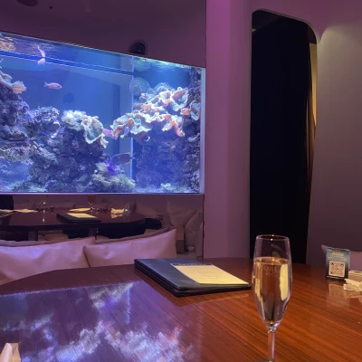 こんばんは‪🌙*·̩͙‬