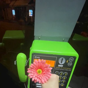 12.7 おはよう❓の時間ᐡ ɞ̴̶̷ ̫ ᴗ̤ ᐡ🌤️の写真1枚目