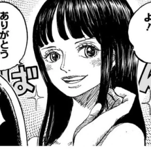 なんかロビンかもの写真1枚目