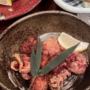 唐揚げ食べたい🐔の写真1枚目