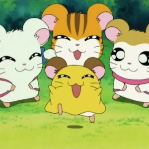 こんにちわん！みゆです♡*.+ﾟの写真1枚目