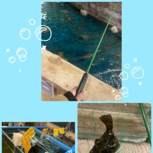 お魚釣り🎣居酒屋さん🏮の写真1枚目