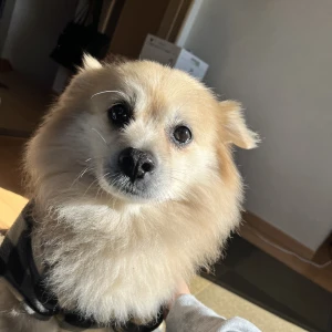 🌝の写真1枚目