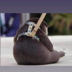 🤖の写真1枚目