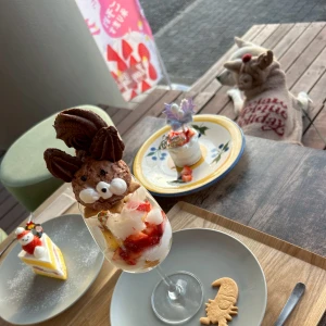 こんばんは🌟✨️あいです！の写真2枚目