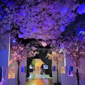 品川アクアパーク🪼🐬の写真3枚目