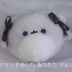 もえです🐰の写真1枚目
