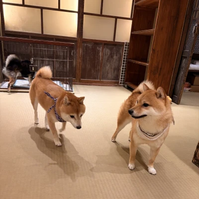 おはようございます☀のあです◡̈♥︎
