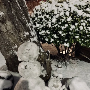 こんばんは✨の写真2枚目