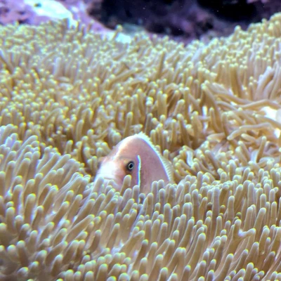 こんばんは！㌨です！