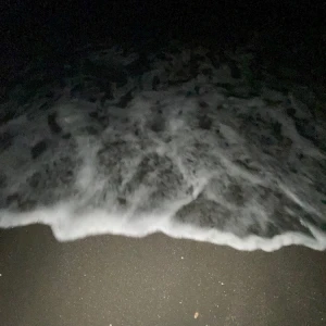 こんばんは🦑の写真1枚目