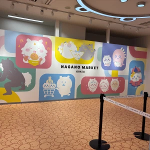 11/3の写真2枚目