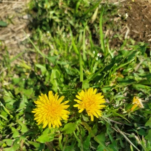 こんにちは✨の写真1枚目