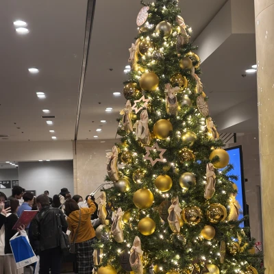 おはよう〜☀️こんばんわ？