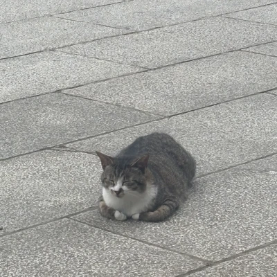 こんばんはゆうなです♪‪^> · <^